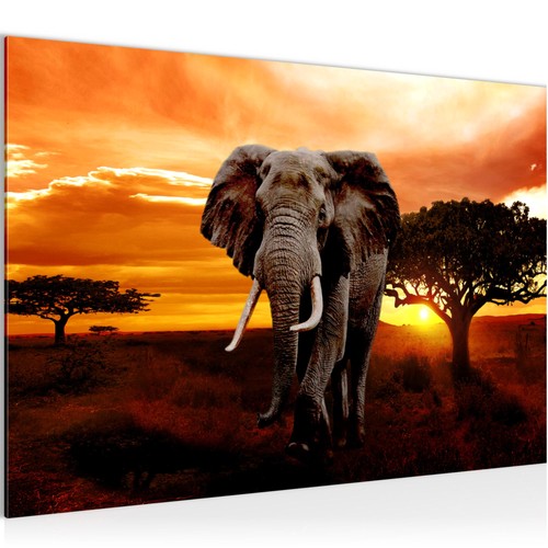 Wandbilder wohnzimmer afrika - wandbilder,