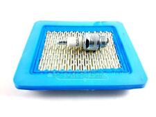 SET Luftfilter Zündkerze RJ19LM Quantum Rasenmäher ersetzt Briggs 491588  494245
