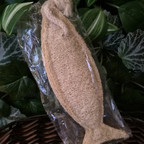 Luffaschwamm luffa - luffaschwamm,