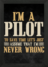 Lustiges Pilot Zitat gerahmtes