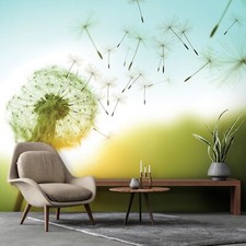 PUSTEBLUMEN NATUR SONNE Fototapete TAPETE Wohnzimmer Schlafzimmer 8711