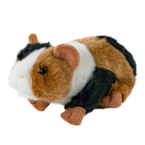 Meerschweinchen kuscheltier - meerschweinchen, 17