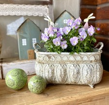 Pflanzschale jardiniere - pflanzschale,