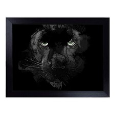 Black Panther In The Shadows