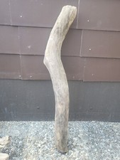 Treibholz Wurzel Ast Brett Terrarium Deko wohnen basteln Lampe