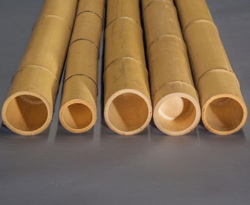 Bambusrohr moso mit 100cm - moso,