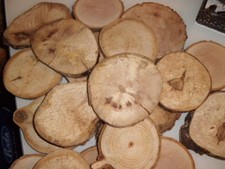 Holzscheiben,3,5 kg, rund