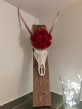 Echtes Geweih Gehörn Bollenhut Schwarzwald Handarbeit Gastronomie Landhausstil 