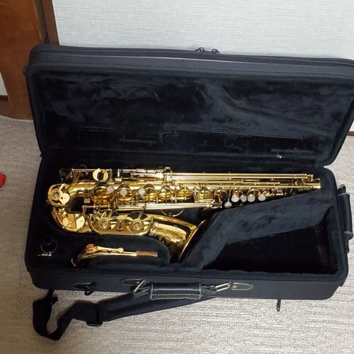 Yanagisawa altsaxophon - a-50,