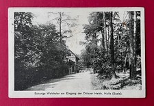 AK HALLE Saale 1928 Schurigs