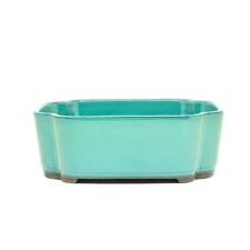 Bonsai Schale Rechteckig 18,5