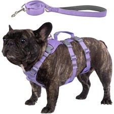 Hochwertiges Hundegeschirr Set