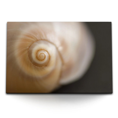 120x80cm wandbild auf leinwand - 120x80cm,