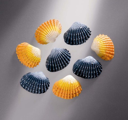 Muscheln gelb blau deko - muscheln,