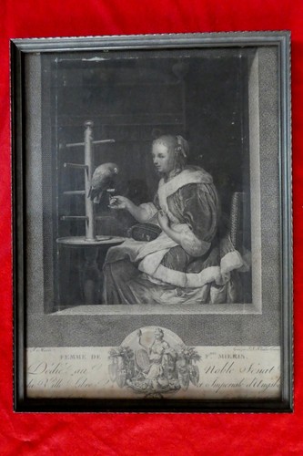 Frau papagei woman - papagei, parrot