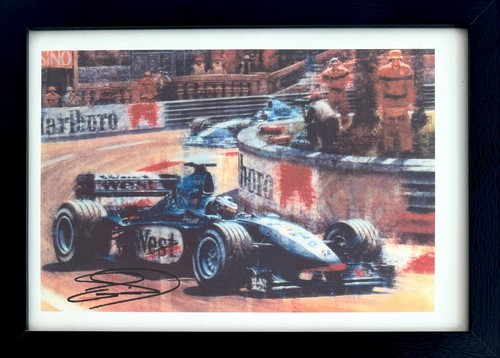 David coulthard - david,