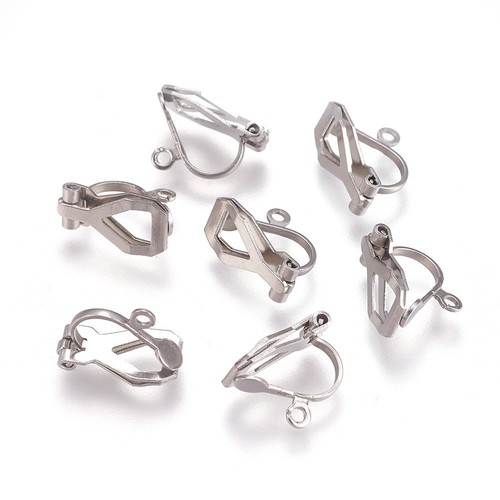 Stck edelstahl clip - 50,