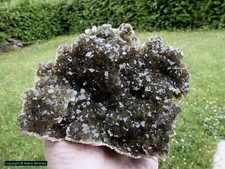 Fluorit von Mina Moscona