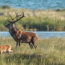 2 Tage Prerow Erholung |