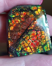 Rot-orange-grüner Drachenschuppen Ammolit       (K22)