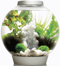 Dekorationsidee für CLASSIC