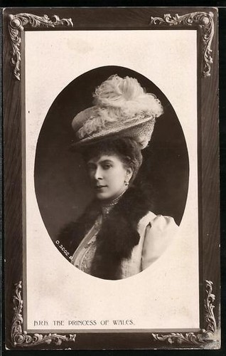 The princess wales - the,