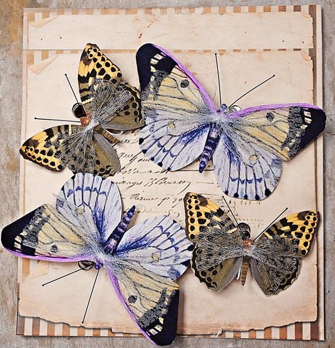 X schmetterlinge mit - ❀, 4