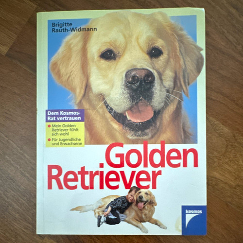 Kosmos golden retriever - kosmos,