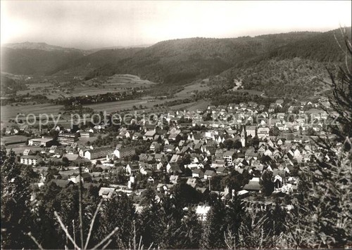 Sulzbach murr ortsansicht - murr,