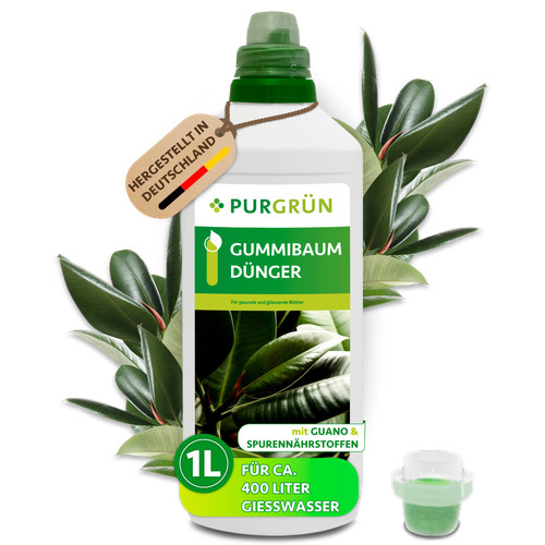Purgrün gummibaum dünger - purgrün,