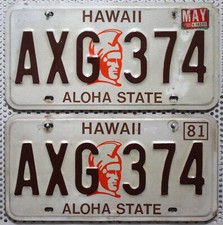 Hawaii Nummernschilder Paar USA Kennzeichen Schilder License Plates Pair AXG 374