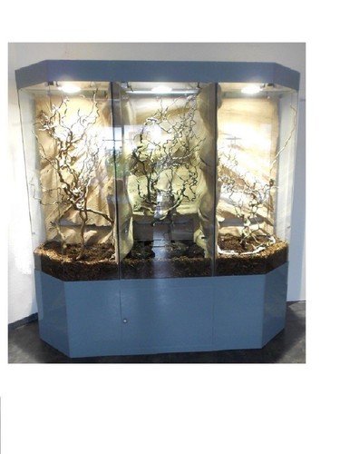 Panorama glas terrarium - panorama,