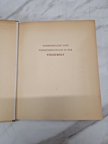 Farbenpracht und - farbenpracht,