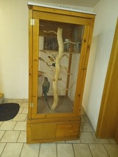 Vogelvoliere Vogelkäfig Groß Stabil Lieferung Umkreis 30km möglich