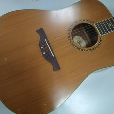 CRAFTER DM 50 Acoustic Guitar
