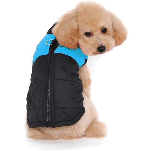 Hund mantel winter - , klein
