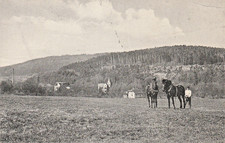 +++ LAUTERBACH + BLITZENROD + PFERDE +WEGENER + VILLA +SCHORNSTEIN +SEIBERTSBERG