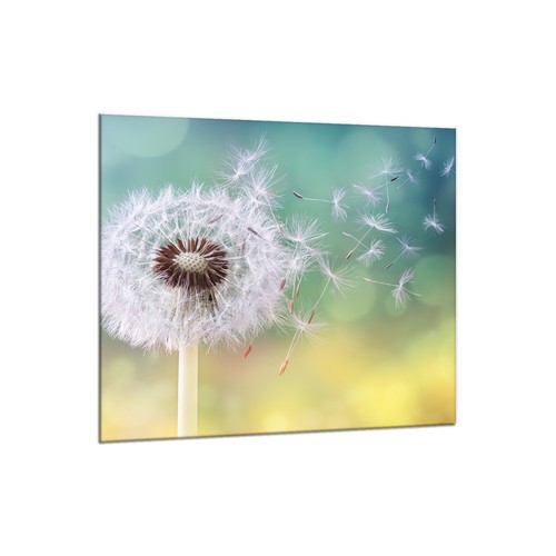 Küchenrückwand glas 65x60 - glas,