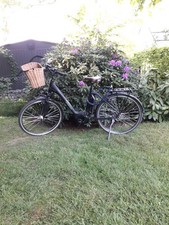 Damen Elektro FAHRRAD