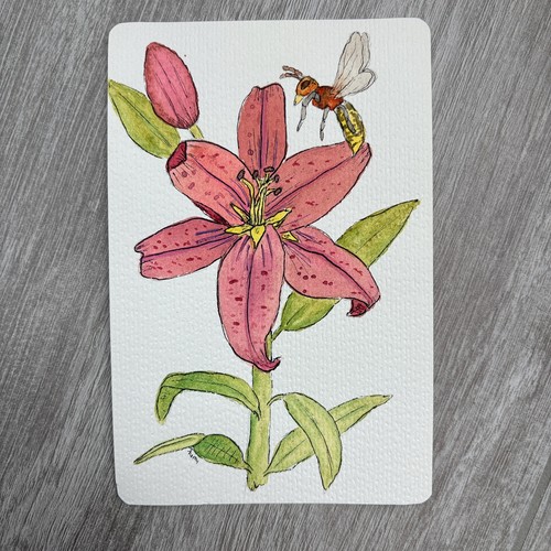 Handgemalt aquarell karte - aquarell,