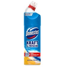 750Ml Domestos Aktiv Kraft WC