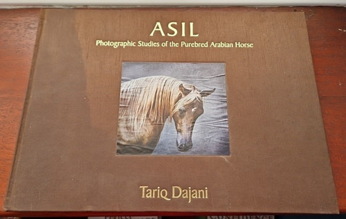 Asil photographic studies - asil,