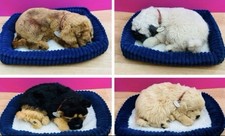 4 SCHLAFENDE ATMENDE PERFECT