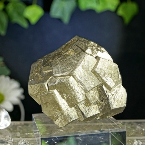 Pyrit stufe cluster mm - stufe,