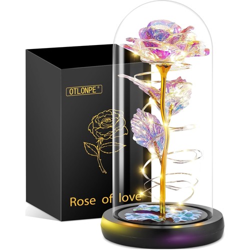 Ewige rose glas - im,