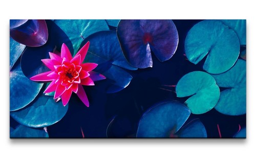 120x60cm leinwandbild rote - 120x60cm,