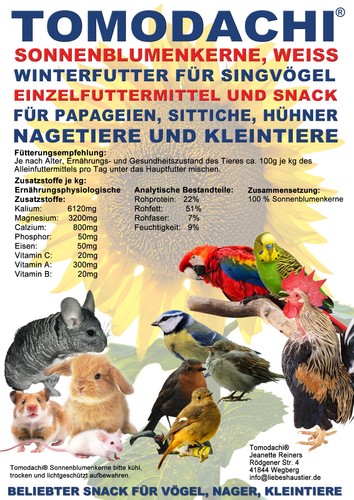 Sonnenblumenkerne weiß