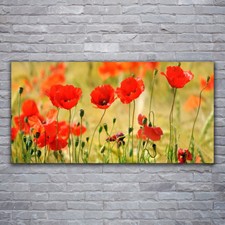 Glasbilder Wandbild Druck auf