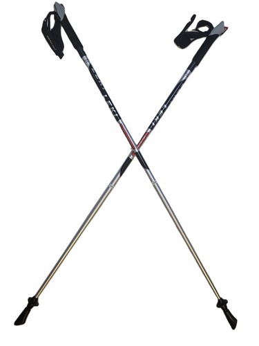 Leki nordic walking speed - nordic,