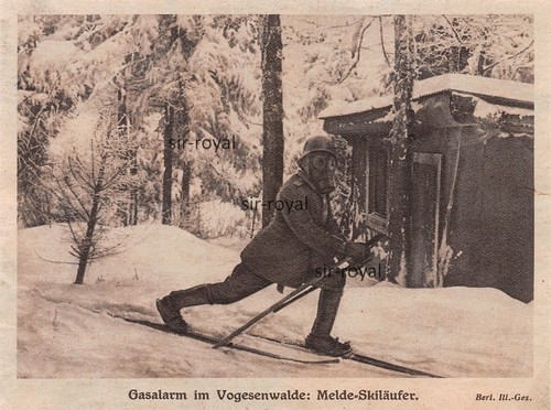 Deutscher melde skiläufer mit - deutscher, melde-skiläufer